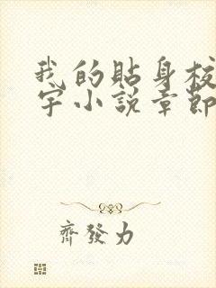 我的贴身校花唐宇小说章节目录