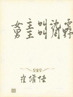 女主叫沈云舒,男主叫周野的小说