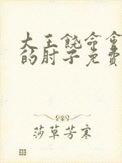 大王饶命会说话的肘子免费看