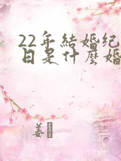 22年结婚纪念日是什么婚