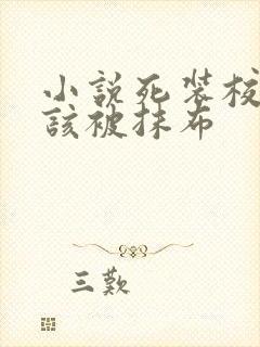 小说死装校草活该被抹布