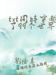 txt同时穿越了99个世界