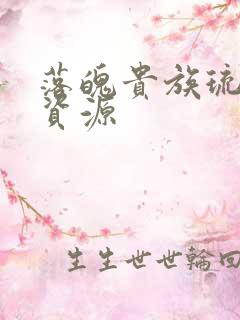 落魄贵族琉璃川资源