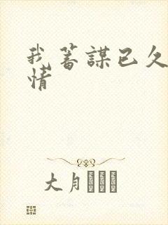 我蓄谋已久的爱情