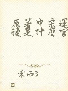 原著中宋运辉最后是什么官