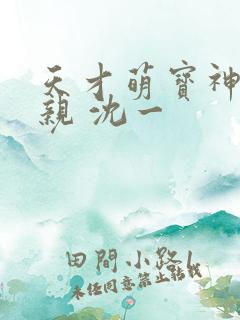 天才萌宝神医娘亲 沈一