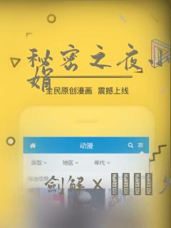 秘密之夜小说小娟