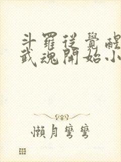 斗罗从觉醒朱雀武魂开始小说