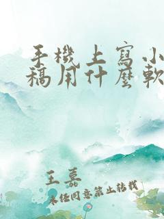 手机上写小说存稿用什么软件