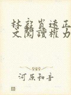 林毅肖远正版全文阅读权力巅峰