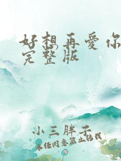 好想再爱你歌词完整版