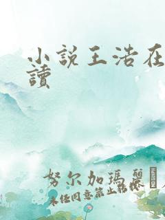 小说王浩在线阅读