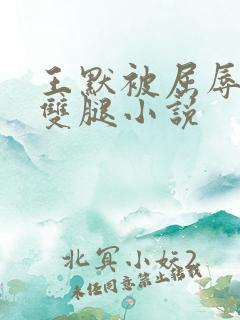 王默被屈辱打开双腿小说