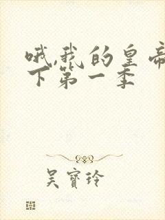 哦,我的皇帝陛下第一季