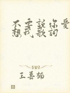 不要说你爱我你想我歌词