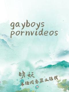 gayboyspornvideos