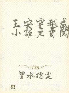 王安穿越成太子小说免费阅读