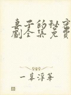 妻子的秘密电视剧全集免费观看人