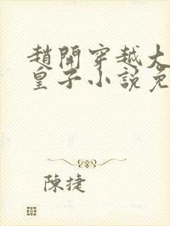 赵开穿越大梁七皇子小说免费阅读