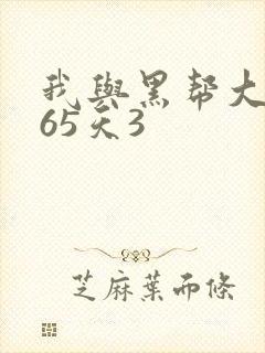 我与黑帮大佬365天3