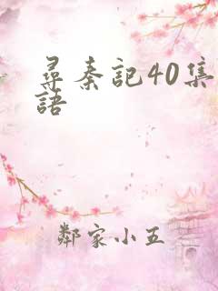 寻秦记40集国语