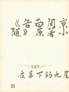 《告白周京泽许随》原著小说