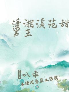 潇湘溪苑甜宠双男主