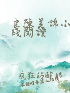 良陈美锦小说在线阅读