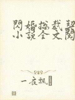 闪婚总裁契约妻小说全文阅读