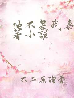 他不是我泰剧原著小说