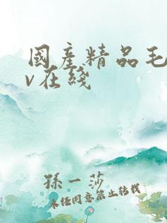 国产精品毛片av在线