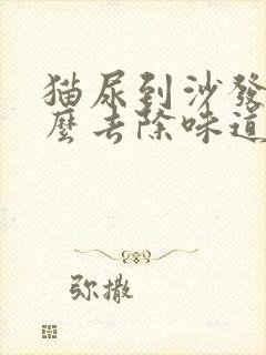 猫尿到沙发上怎么去除味道