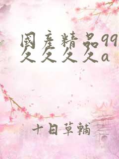 国产精品99久久久久久a