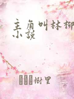 主角叫林柳儿的小说