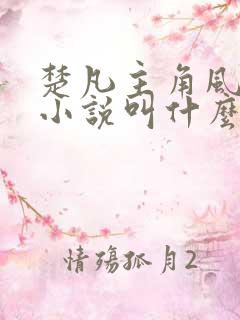 楚凡主角风柔的小说叫什么
