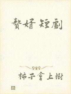 赘婿 短剧