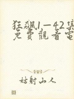 狂飙1—42集免费观看电视剧