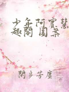 少年阿宾慧钰笔趣阁 图案