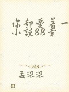 你却爱着一个他小说88章