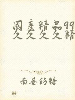 国产精品99久久久久久精品