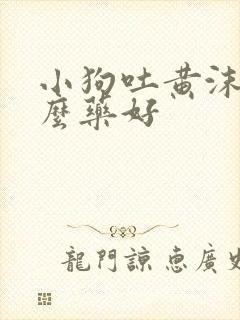 小狗吐黄沫吃什么药好