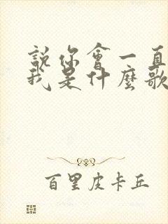 说你会一直爱着我是什么歌