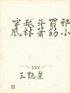 穿越斗罗邪火凤凰林萧的小说