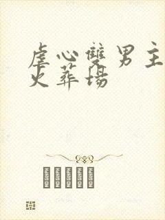 虐心双男主追夫火葬场