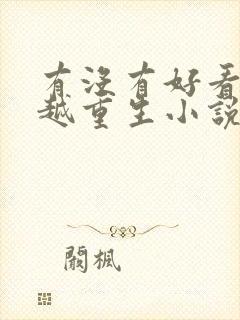 有没有好看的穿越重生小说推荐一下