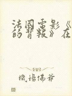 法国电影《妻子的背叛》在线播放