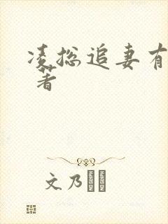 凌总追妻有点甜 著