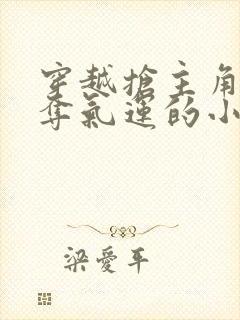 穿越抢主角机缘夺气运的小说