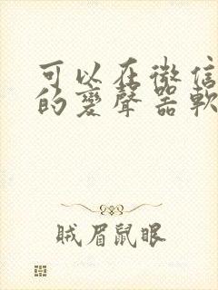 可以在微信变声的变声器软件免费