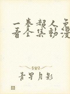 一拳超人免费观看全集动漫